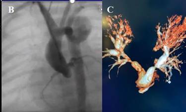 Descripción: img358
