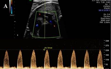 Descripción: Descripción: img354