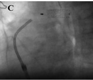 Descripción: Descripción: img360