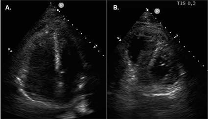 Descripción: Descripción: img7
