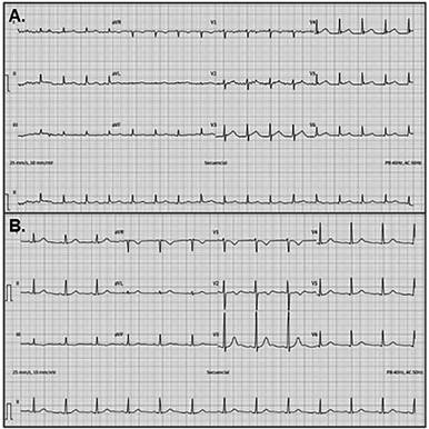 Descripción: Descripción: img9