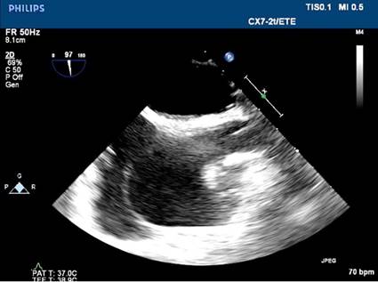 Descripción: Descripción: img21