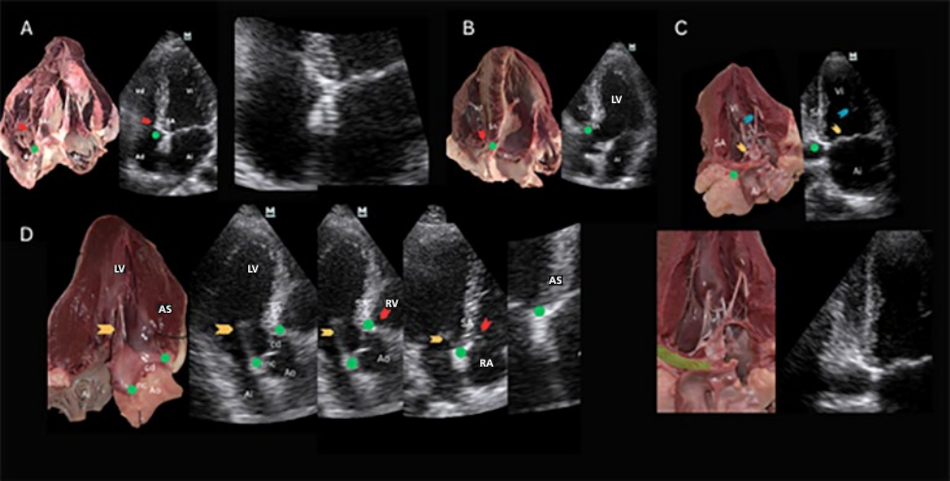 Fig. 5