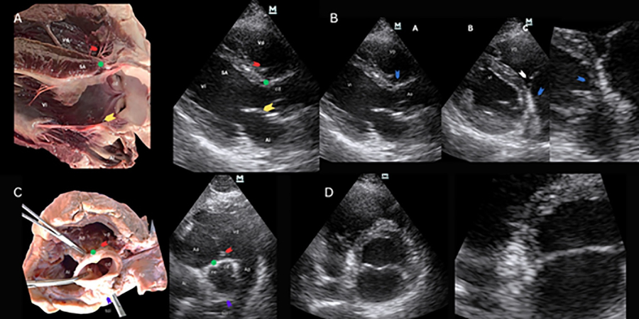 Fig. 4