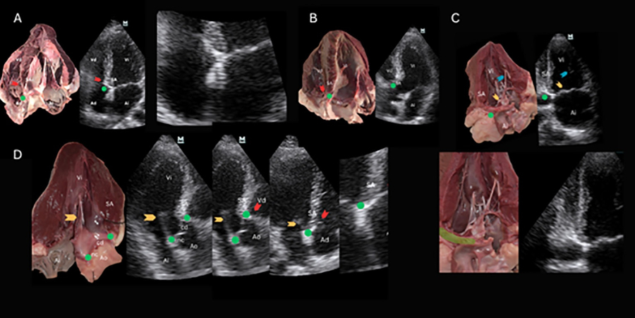 Fig. 5
