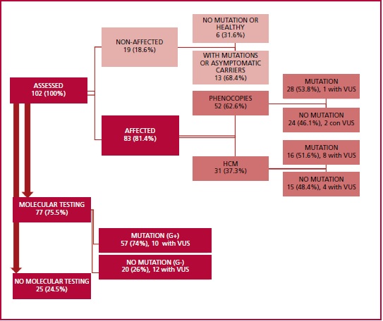 Descripción: C:\Users\Guido\Downloads\figura 1 streitenberger ingles.jpg