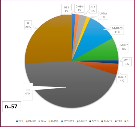 Descripción: C:\Users\Guido\Downloads\figura 2 streitenberger ingles.jpg