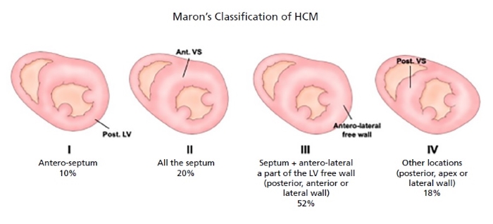 Descripción: C:\Users\Guido\Downloads\figura 1 anexo streitenberger ingles.jpg