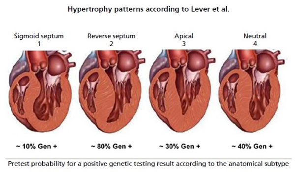 Descripción: C:\Users\Guido\Downloads\figura 2 anexo streitenberger ingles.jpg
