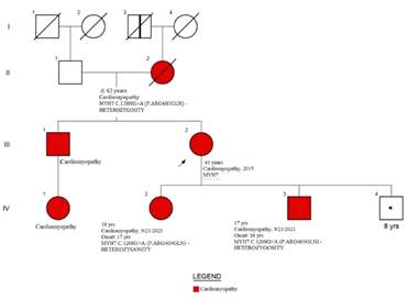 Descripción: C:\Users\Guido\Downloads\figura 3 anexo streitenberger ingles.jpg