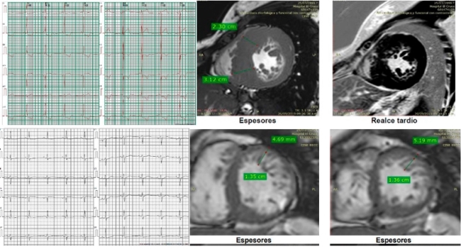 Descripción: C:\Users\Guido\Downloads\figura 4 anexo streitenberger ingles.jpg